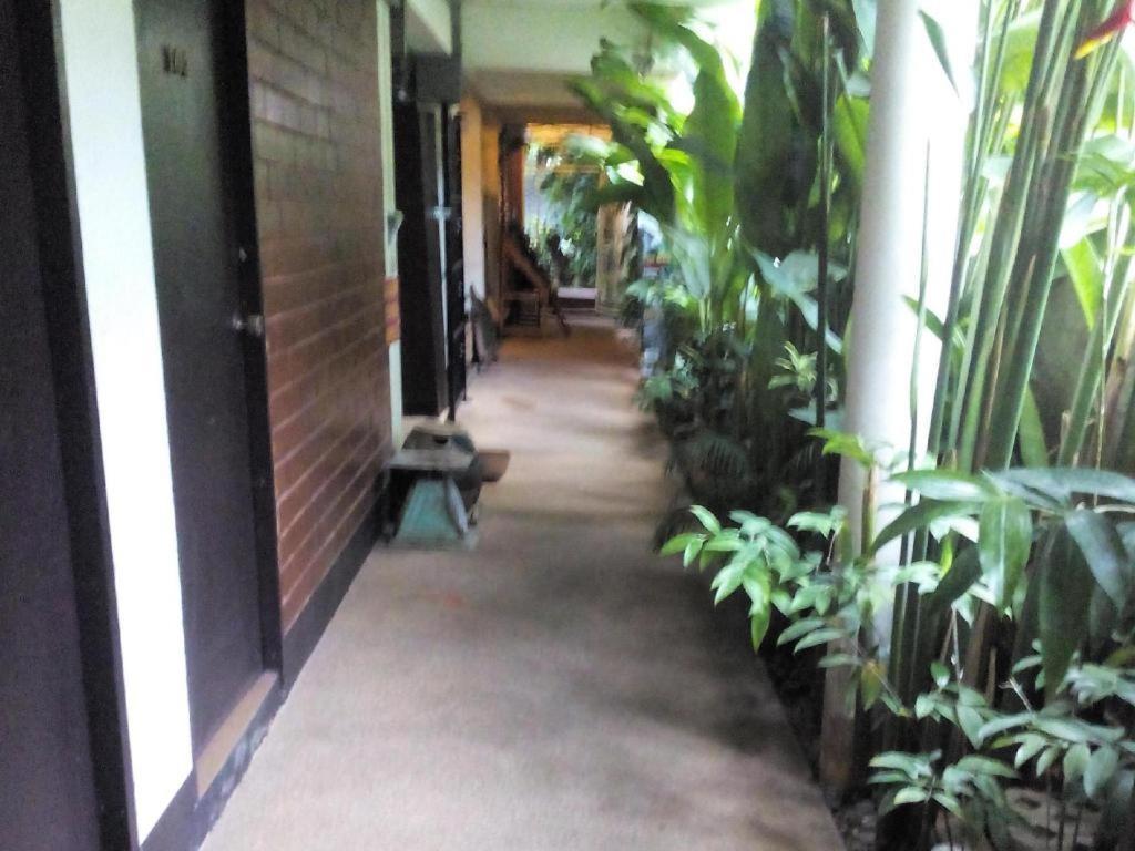 Baan Pim Hotel Chiang Mai Eksteriør billede